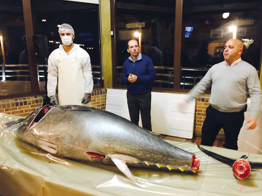 Despiece tradicional de un atún toro de 150 kg