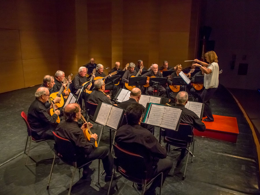 Conciertos, teatro, magia, exposiciones... para todos