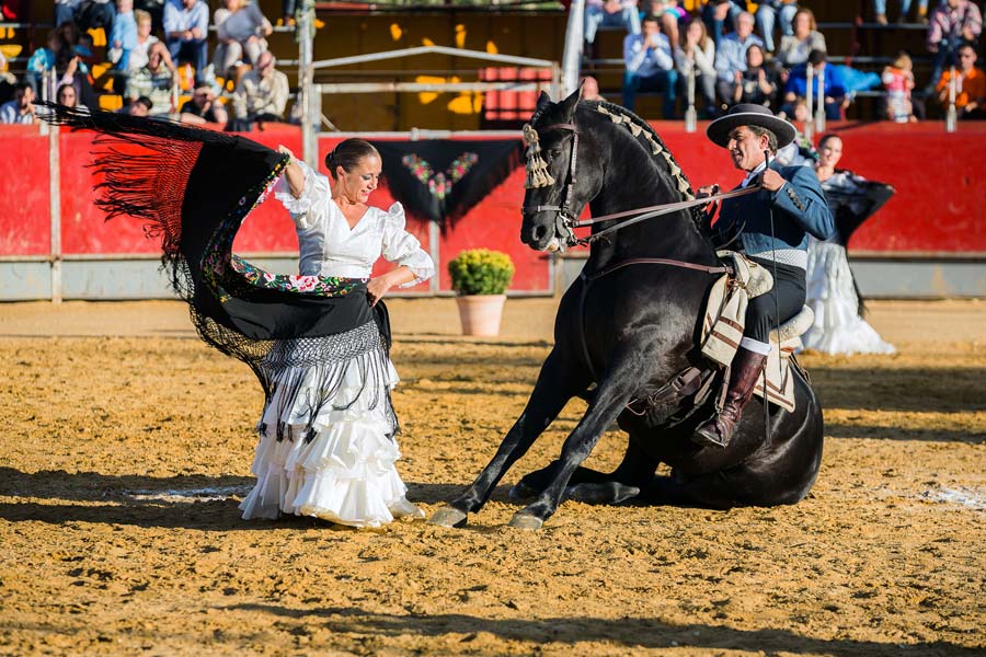 Arte y pasión... Sueños a caballo