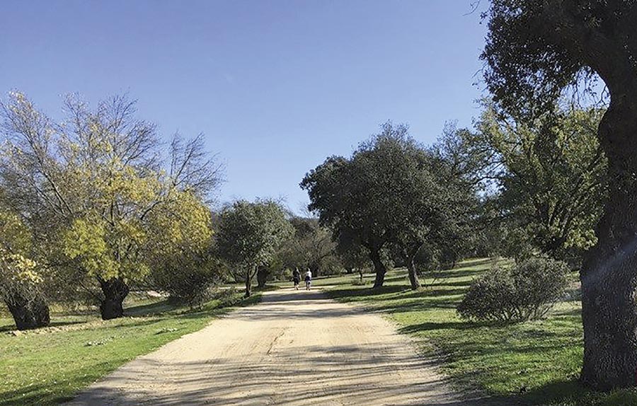 Salidas al campo y talleres