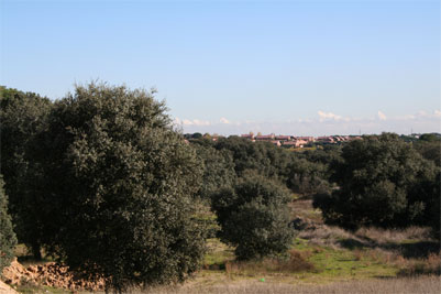 El PSOE pide incorporar el Monte de Boadilla al Parque del Guadarrama.
