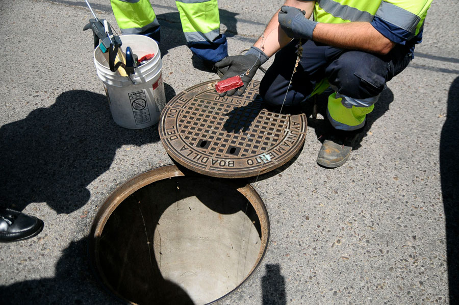 Se refuerza el control de plagas en el municipio