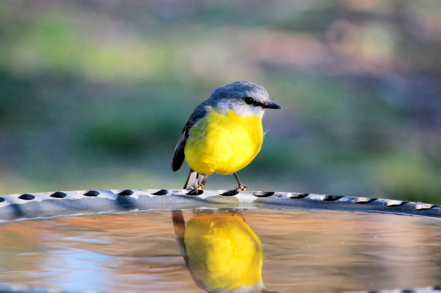 ¿Naturaleza en agosto? ¡También!