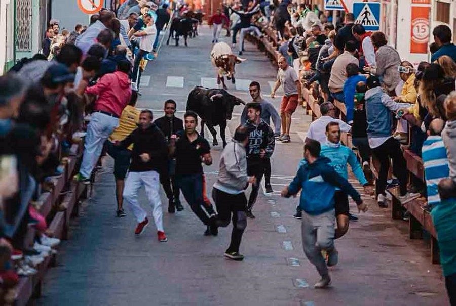 Tu guía para disfrutar las fiestas de Boadilla.