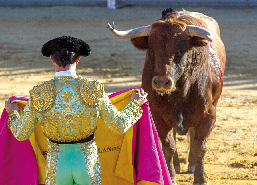 Los toros se caen del cartel