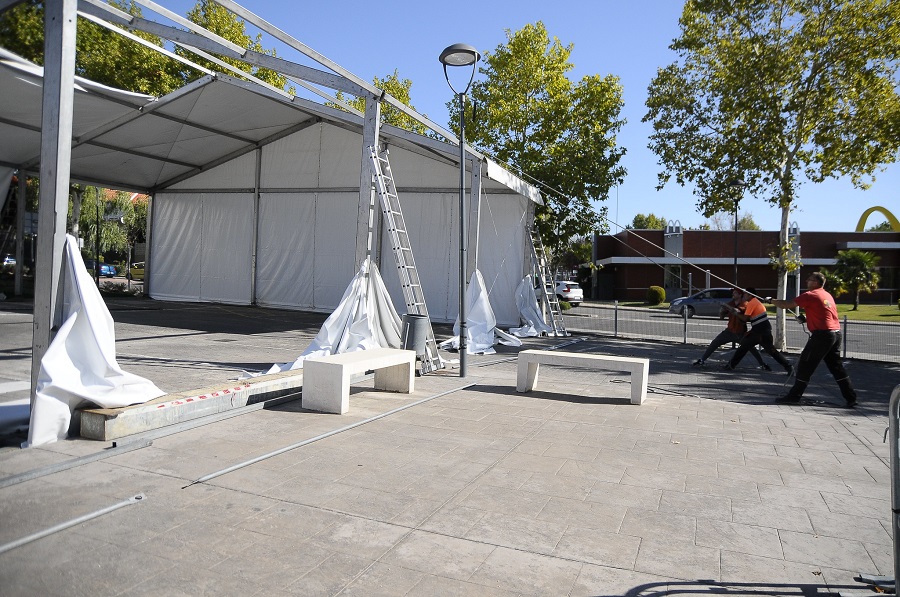 Carpa joven en las fiestas.