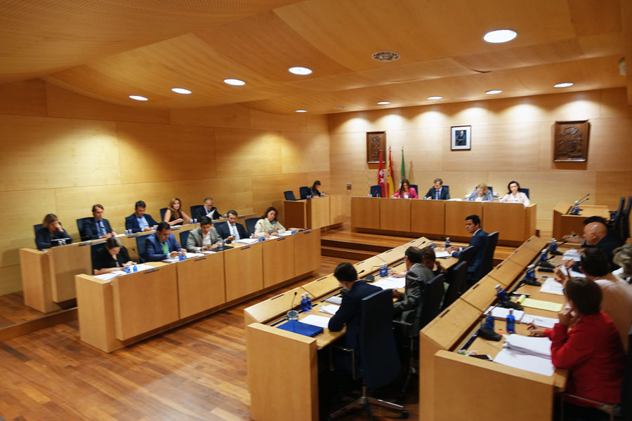 Apoyo unánime al Parque Regional del Curso Medio del Guadarrama.