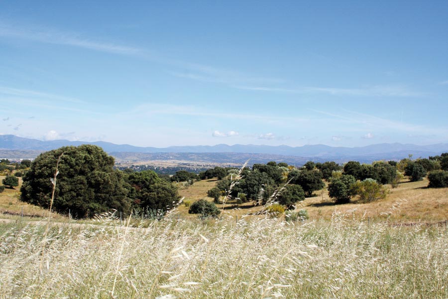 Vista de la finca Romanillos