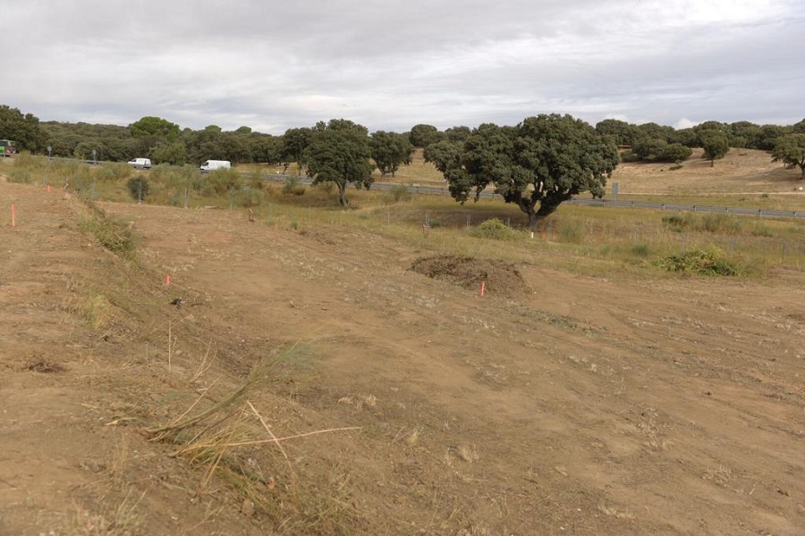 Comienza la construcción de los huertos urbanos.