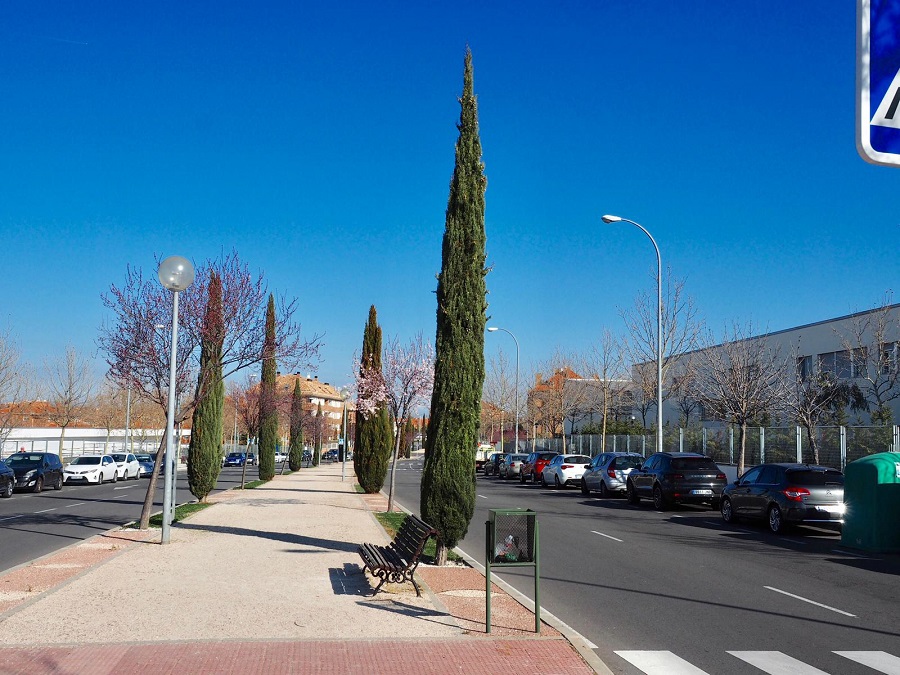 Mejoras de la iluminación en cuatro zonas de Boadilla.