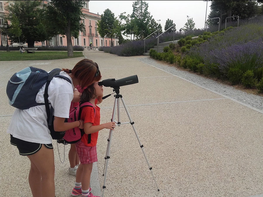 Detectives de la naturaleza