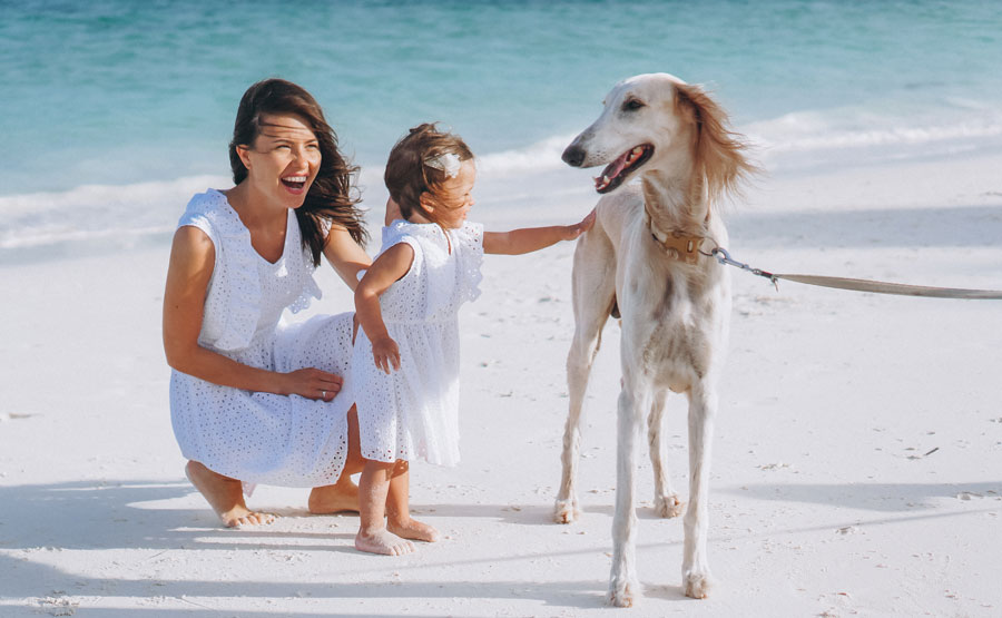 De vacaciones, también con tu mascota