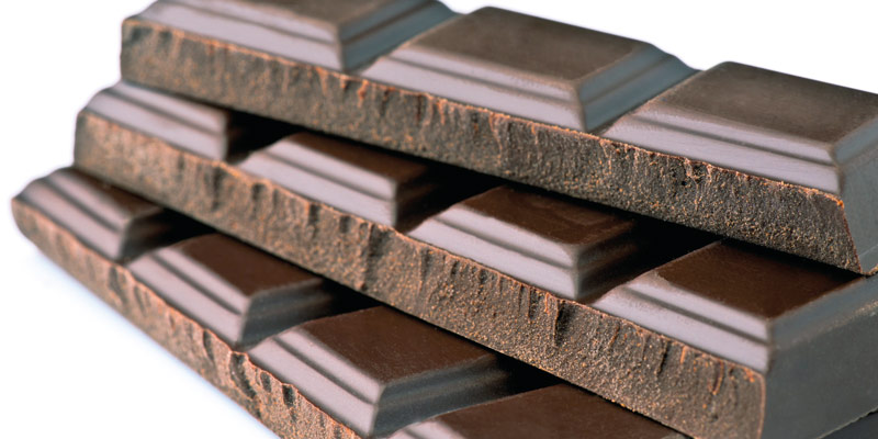 Efectos del chocolate en nuestras mascotas