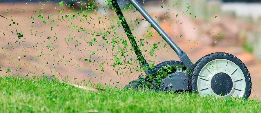 Prepara tu jardín para la primavera