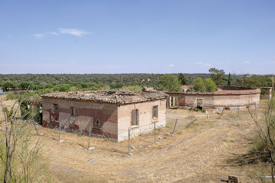 El gallinero, a escena