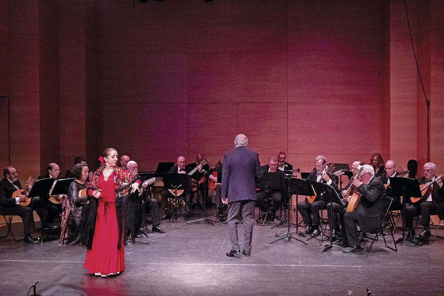 El 18 de noviembre, concierto benéfico para Manos Unidas en Boadilla del Monte