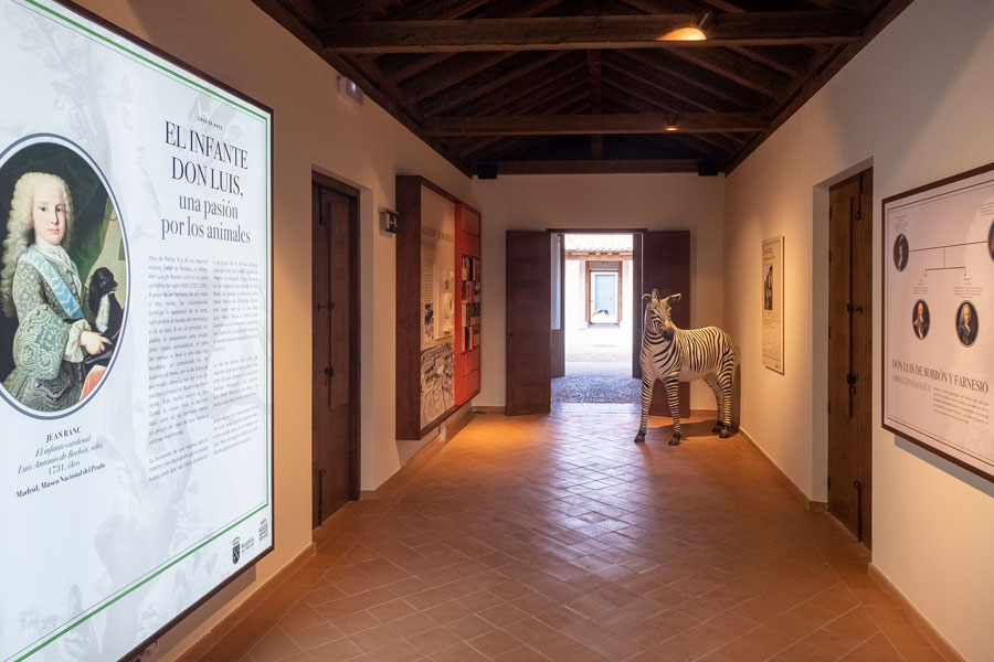 La Casa de aves del palacio del infante don Luis alberga una exposición permanente que recorre la  relación entre el hombre y los animales a lo largo de la historia