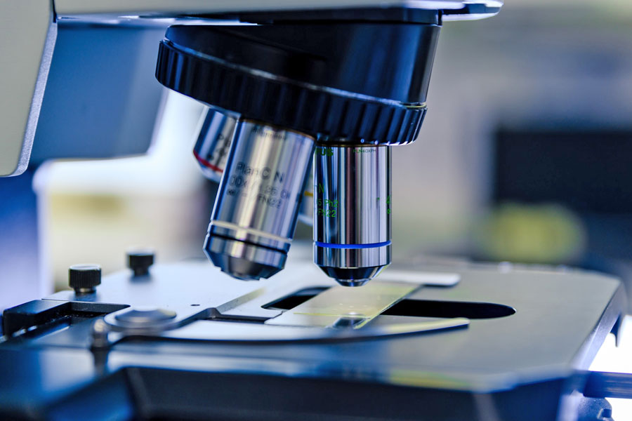 Club de Ciencia Boadilla: primeras charlas del año