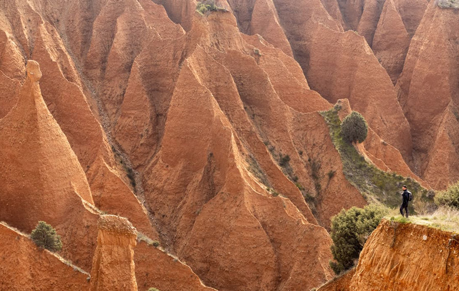 Boadillaventura: rutas de naturaleza e historia