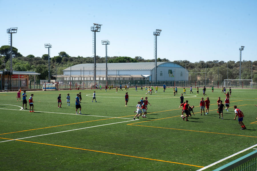 Colonias y campus deportivos, en Boadilla del Monte