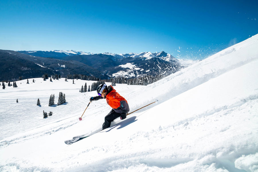 ¿Te apetece esquiar en los Alpes franceses?