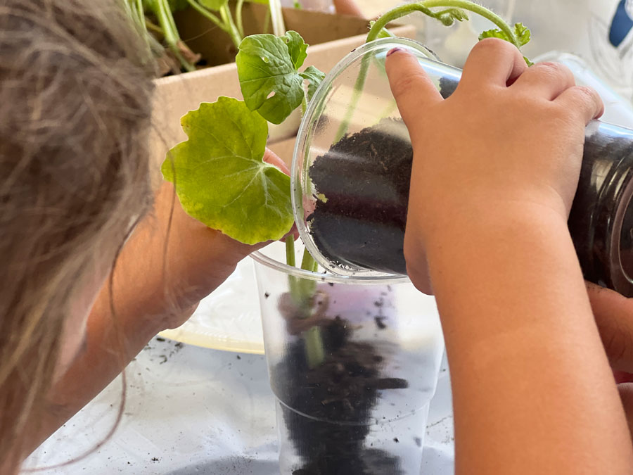 La Ecoescuela del colegio Quercus de Boadilla del Monte continúa con nuevos proyectos