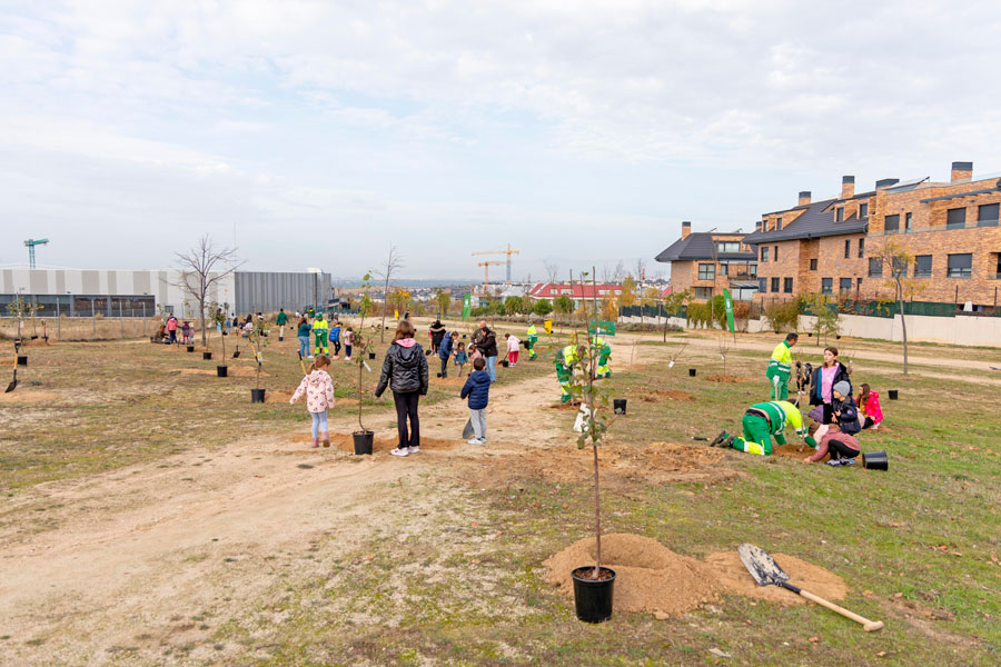 Alumnos del CEIP Federico García Lorca participan en la plantación de arboles frutales en Valenoso