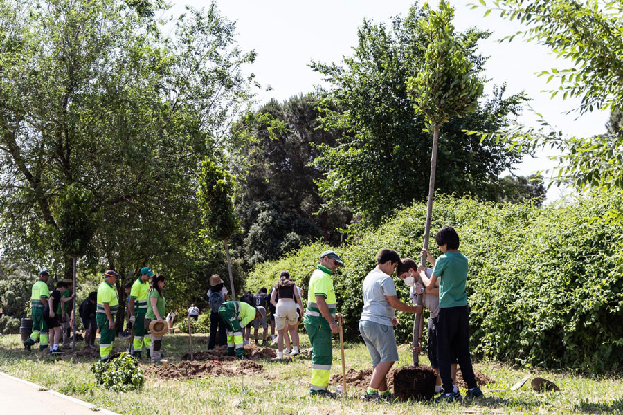 Alumnos del CEIPSO Príncipe D. Felipe plantan 22 ejemplares de laurel en la senda del Pilar