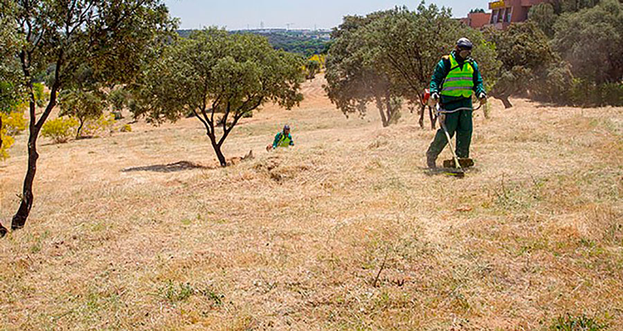 Preparando el campo para evitar incendios