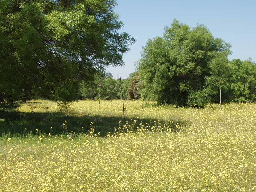 Campaña de sensibilización para luchar contra la basura en la naturaleza