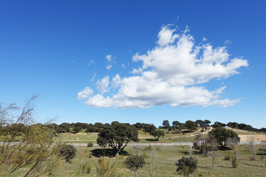 Programa de otoño del Aula Medioambiental de Boadilla del Monte Programa de otoño del Aula Medioambiental de Boadilla del Monte