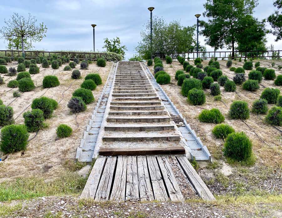 Zona forestal en los alrededores de la Ciudad Financiera