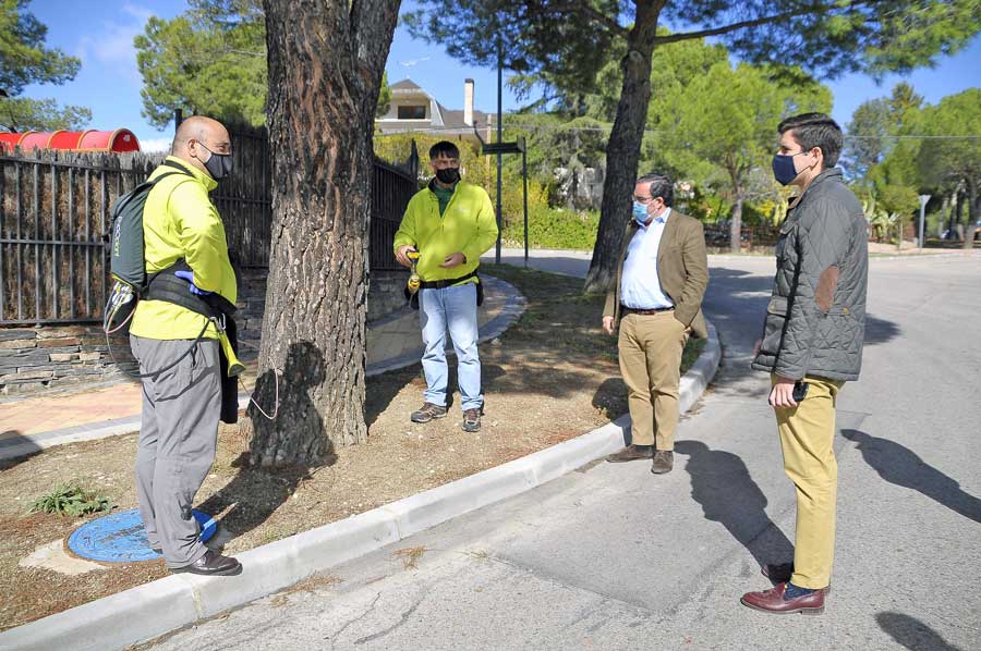 Endoterapia para acabar con la procesionaria de los pinos de Boadilla