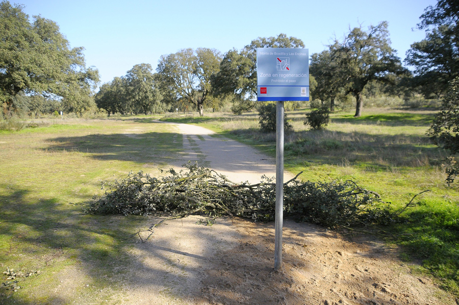 La Comunidad renueva las normas de actuación en el monte para garantizar su protección