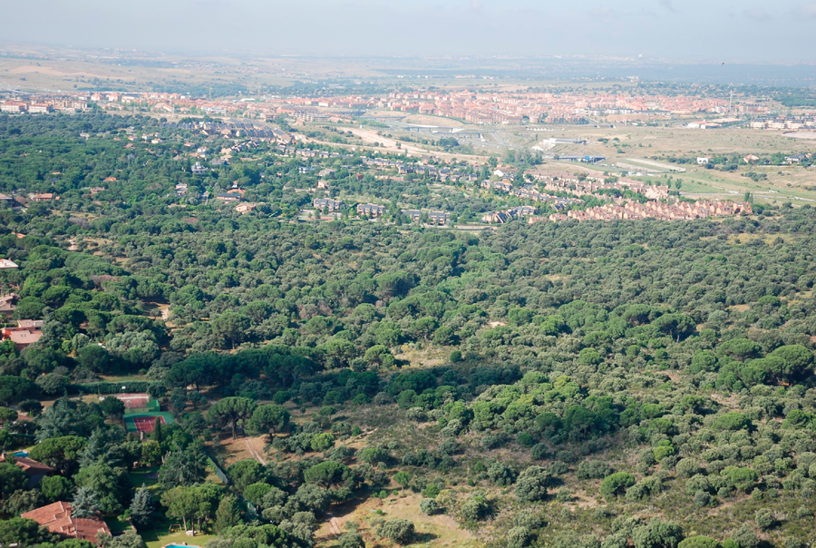 El PSOE presenta casi 3.000 firmas en defensa del monte de Boadilla