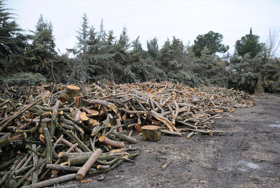 El Ayuntamiento de Boadilla del Monte repartirá la leña que recoga estos días del monte