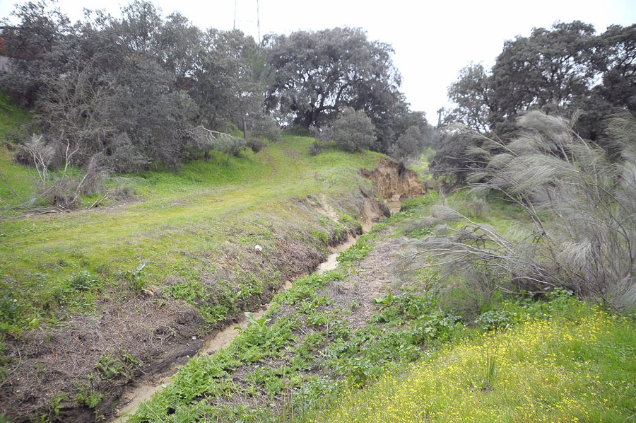 Cauce de arroyo Calabozo, en Boadilla del Monte