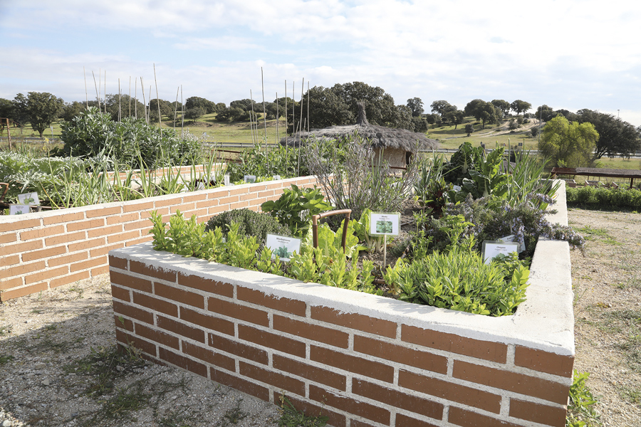 Aula Medioambiental, una cita con la naturaleza en Boadilla del Monte