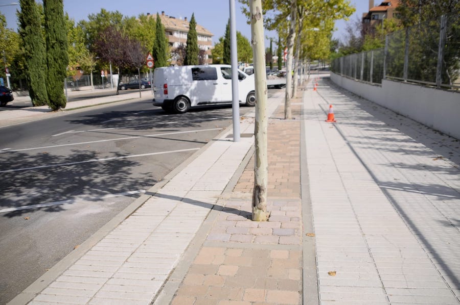 'Alcorques adoquinados' en Boadilla del Monte