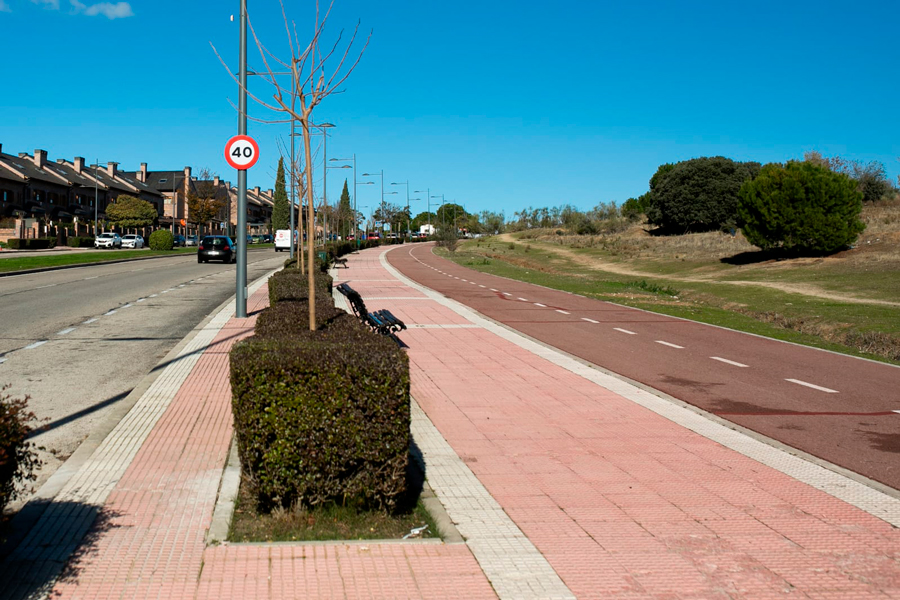 Se sustituyen los árboles de la calle Miguel Ángel Cantero Oliva afectados por las tormentas