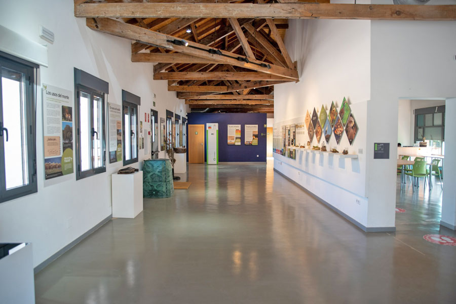 El Aula Medioambiental de Boadilla del Monte lanza su programa de actividades para marzo y abril