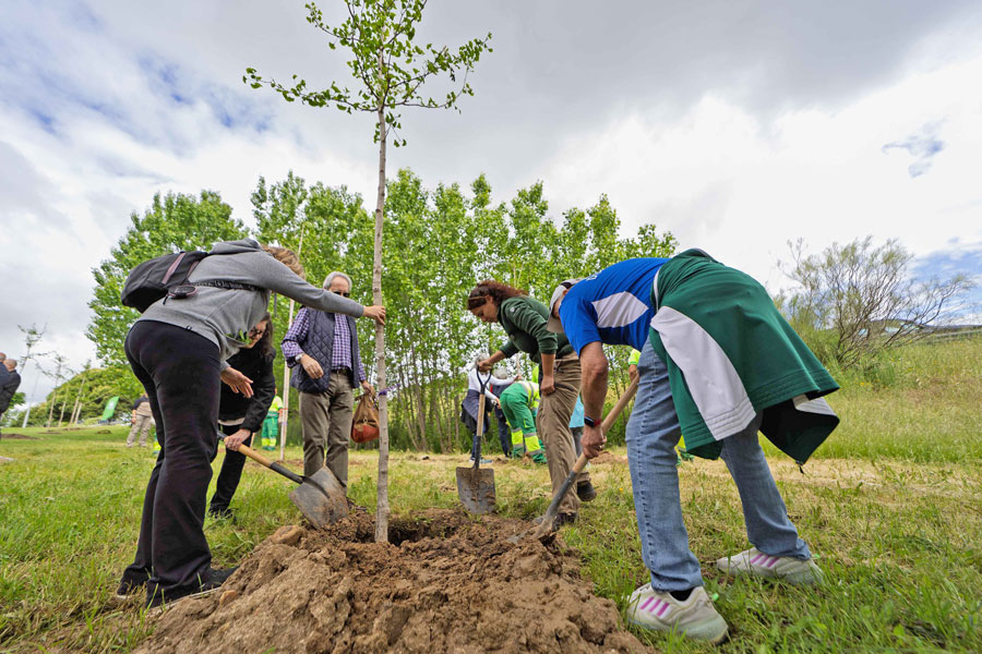 Los mayores se apuntan a plantar árboles en Boadilla del Monte