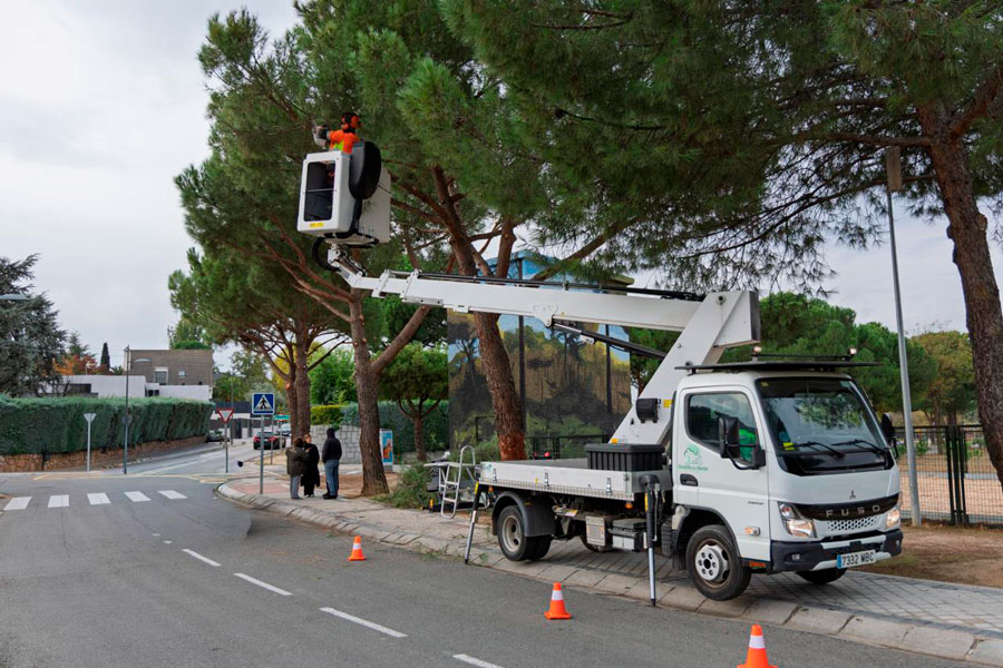 Campaña anual de poda en Boadilla del Monte