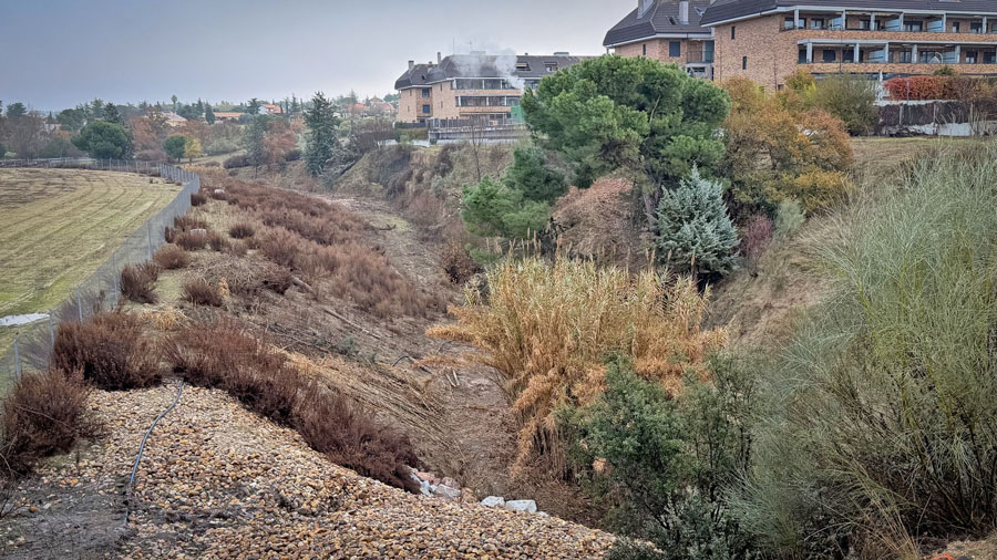Empieza la limpieza del arroyo de Valenoso en Boadilla del Monte
