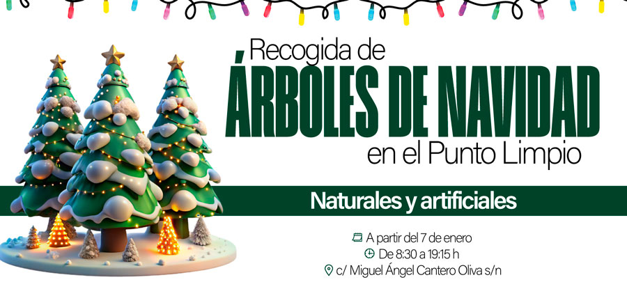 Recogida de árboles de Navidad en Boadilla del Monte
