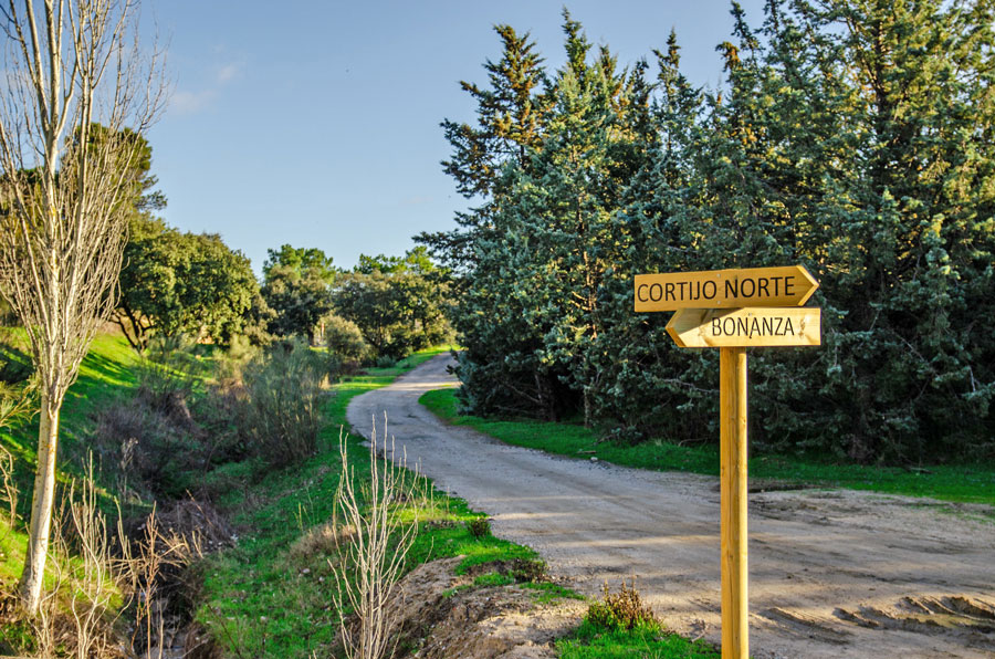 Mejorada la senda que une Parque Boadilla, Las Lomas y Bonanza Mejorada la senda que une Parque Boadilla, Las Lomas y Bonanza