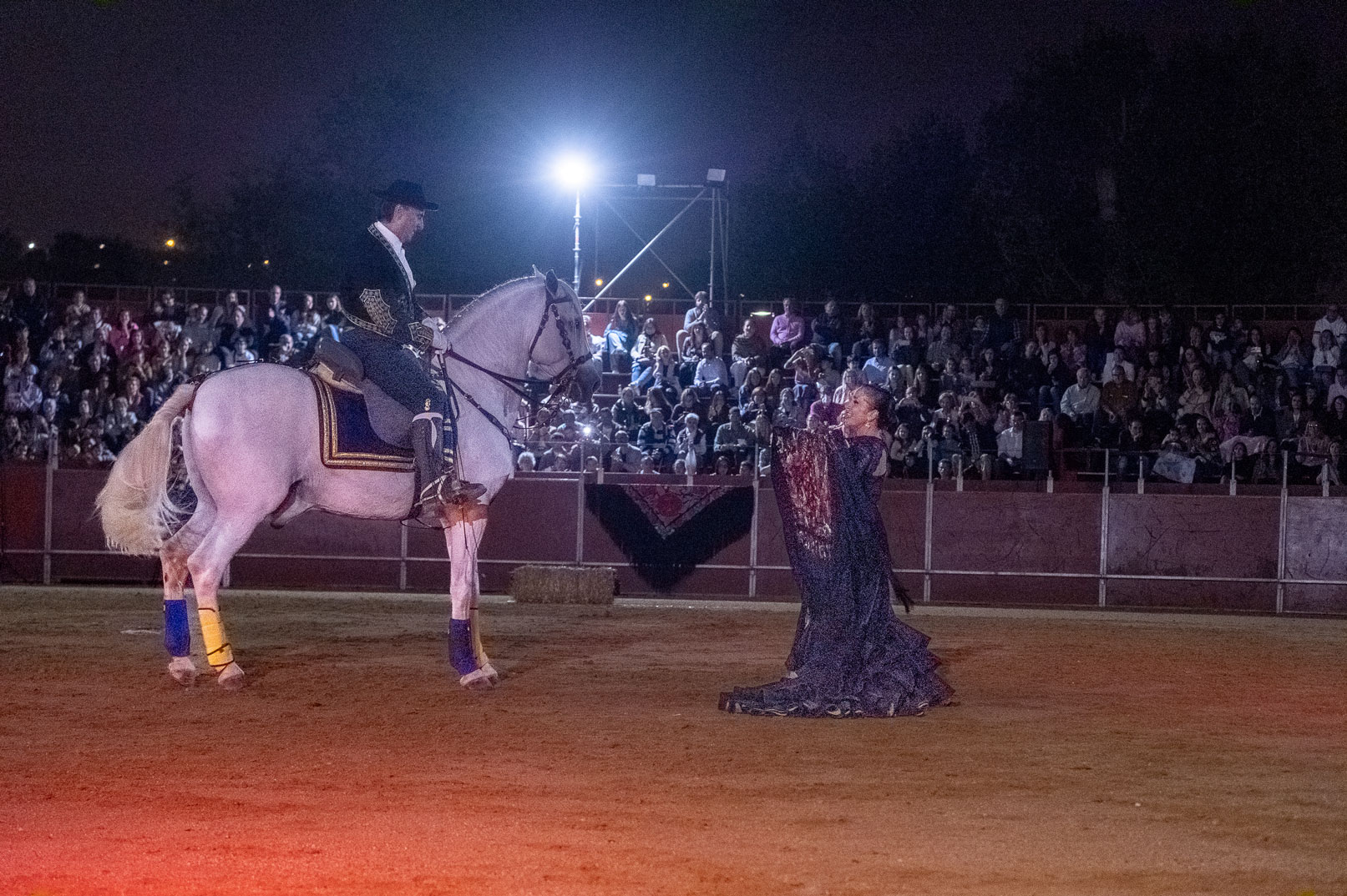 7 de octubre, 'Musas', espectáculo de danza y arte ecuestre en Boadilla del Monte