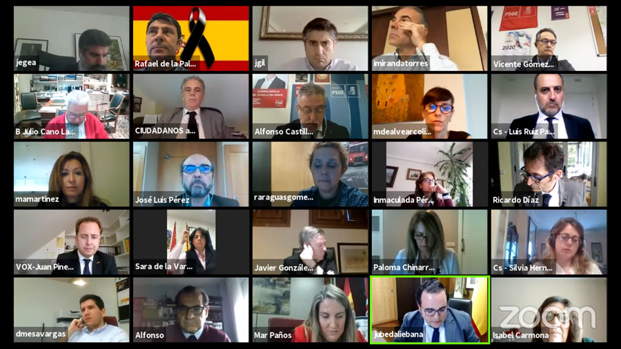 Pleno extraordinario por videoconferencia