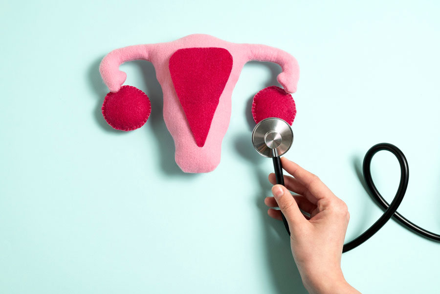 Talleres sobre salud femenina para mujeres mayores de 65 años en Boadilla del Monte