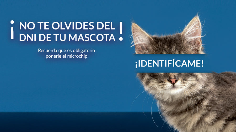 Boadilla del Monte inicia una campaña de concienciación para identificar con microchip a todas las mascotas. 